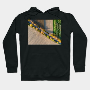 Aerial view of autumn country road Hoodie